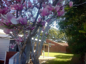 Magnolia Cottage Coffs Harbour